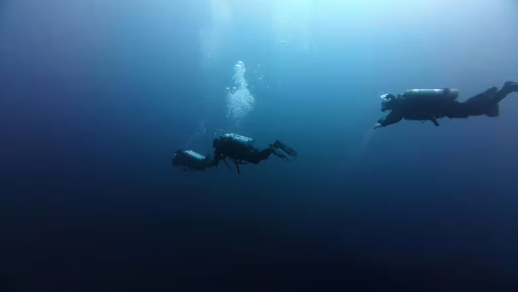 Exploring the Ocean Zones: A Journey Through Earth’s Largest Habitat