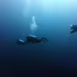 Exploring the Ocean Zones: A Journey Through Earth’s Largest Habitat