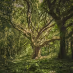 Extinct Prehistoric Plants and Their Crucial Role in Earth’s Ecology