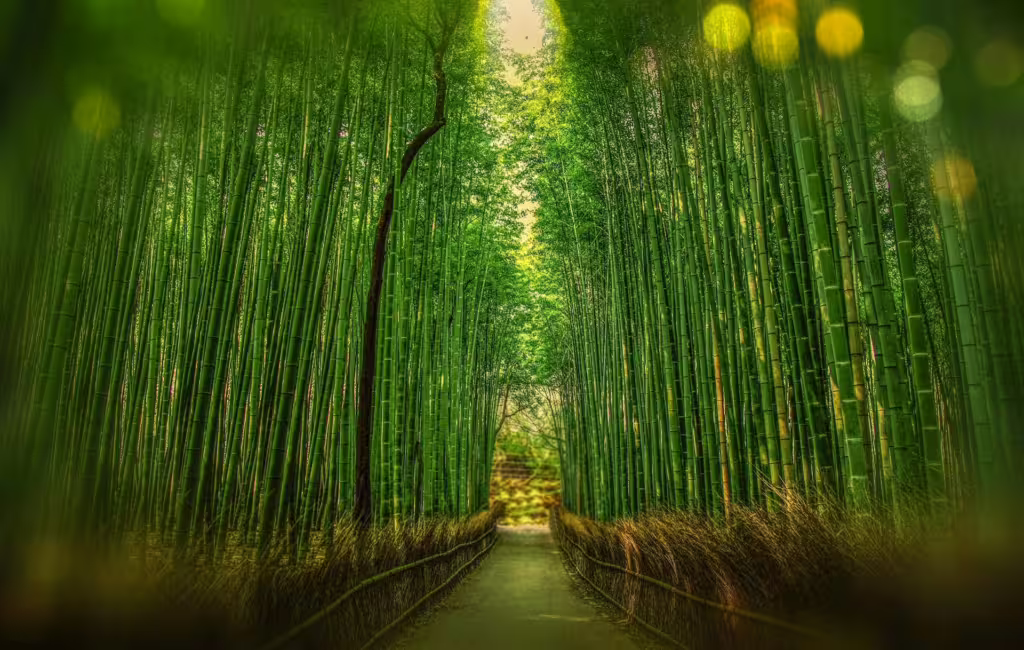 Swift Shoots: Exploring The Fastest-Growing Plants on Earth