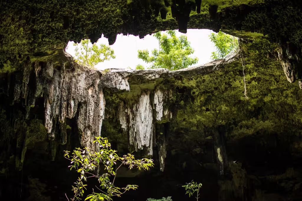 Hidden Worlds: The Caves of Mexico and Their Astonishing Wildlife