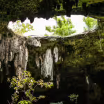 Hidden Worlds: The Caves of Mexico and Their Astonishing Wildlife