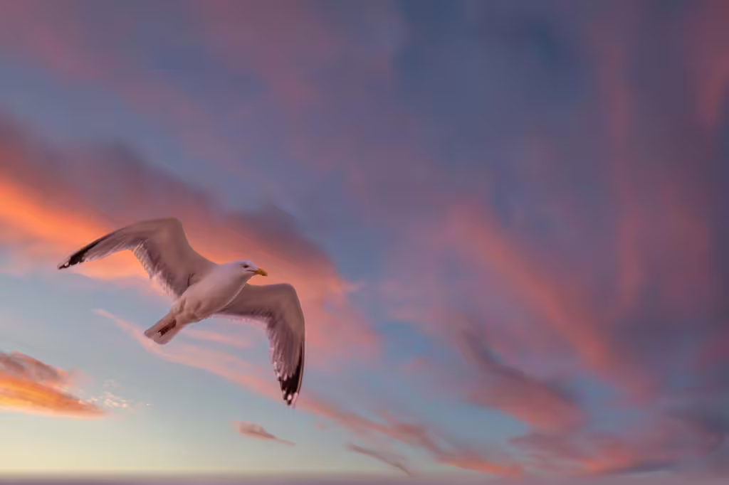 Seabirds: Guardians on the Ocean’s Edge