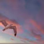 Seabirds: Guardians on the Ocean’s Edge