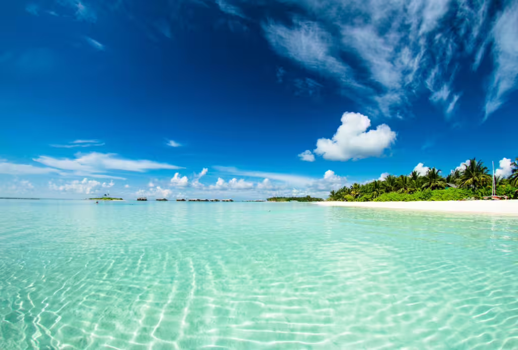 Life Among the Islands: Exploring Indian Ocean Ecosystems