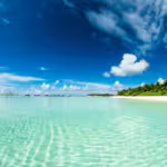 Life Among the Islands: Exploring Indian Ocean Ecosystems