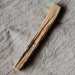 Palo Santo Wood: Sacred Tradition and Ecological Balance