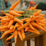 Carrots: A Colorful Root with Remarkable Versatility in Food and Health