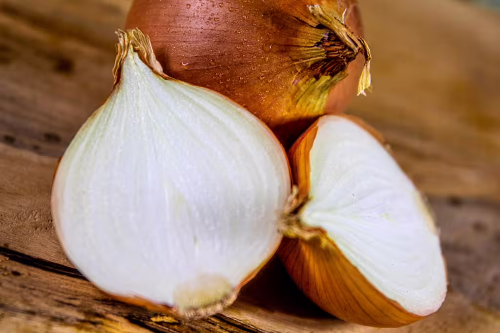Onions: A Humble Bulb with Remarkable History and Uses